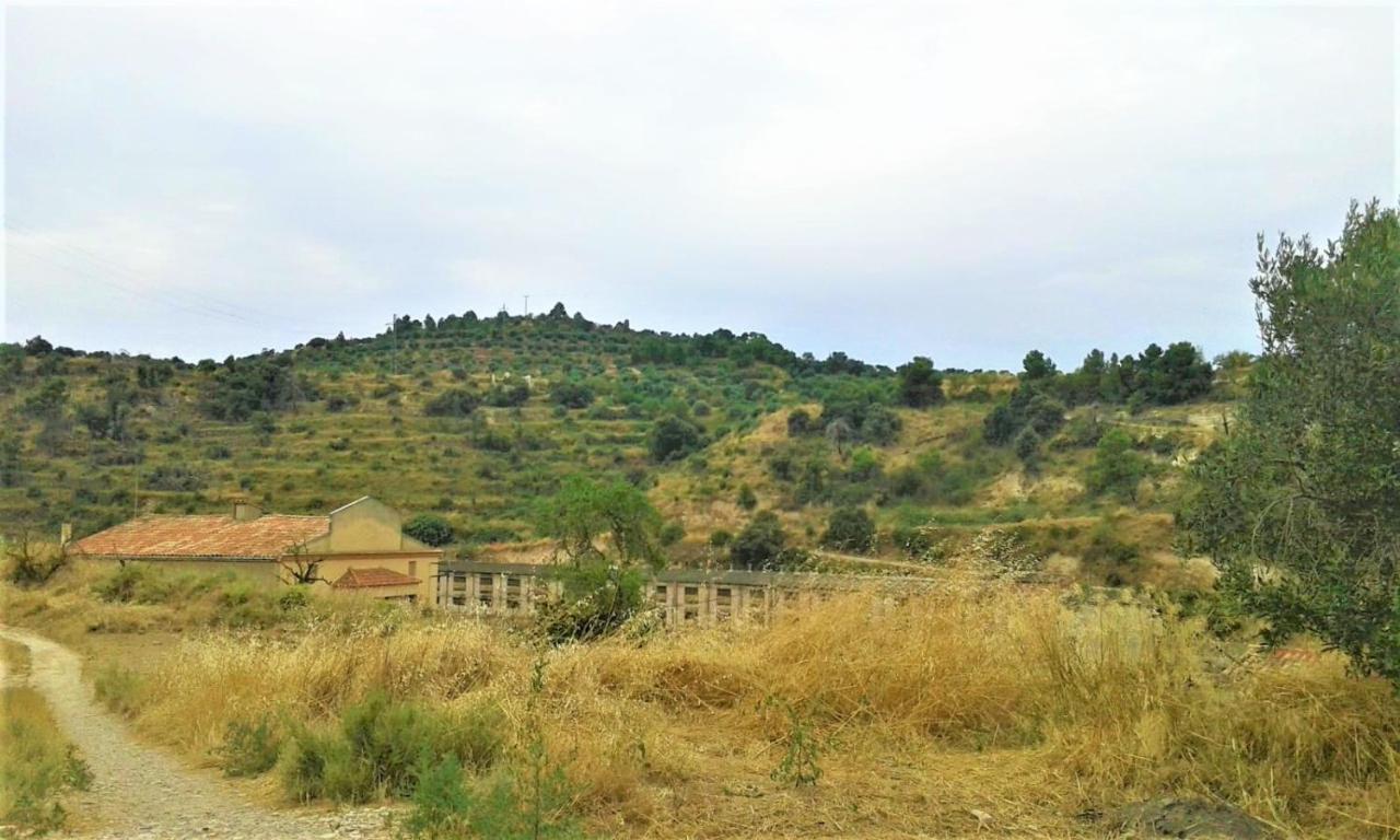 Cal Pablo Διαμέρισμα Rocafort de Vallbona Εξωτερικό φωτογραφία